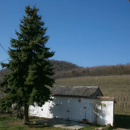 Πανσιόν Guens Vendeghaz 3*