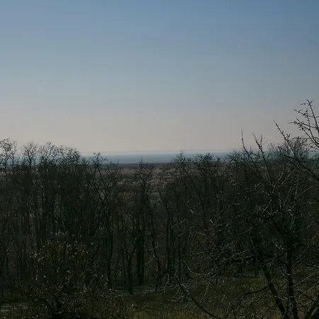 Guens Vendeghaz Gæstehus