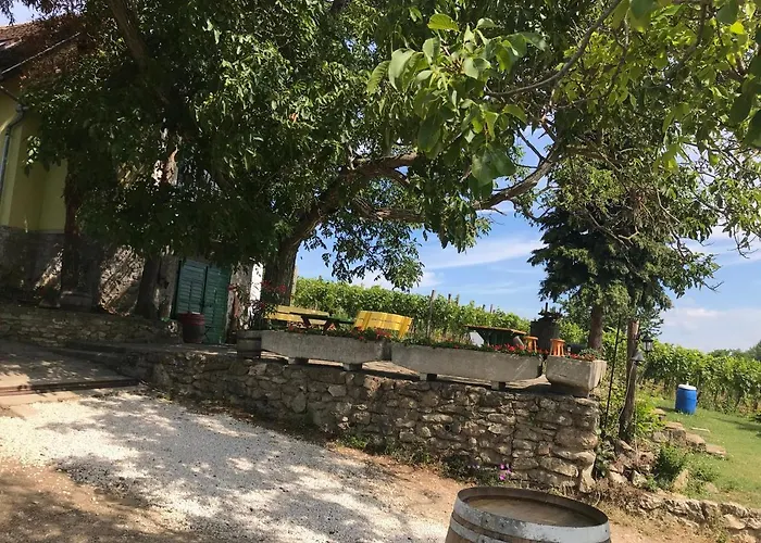 Gasthuis Guens Vendeghaz