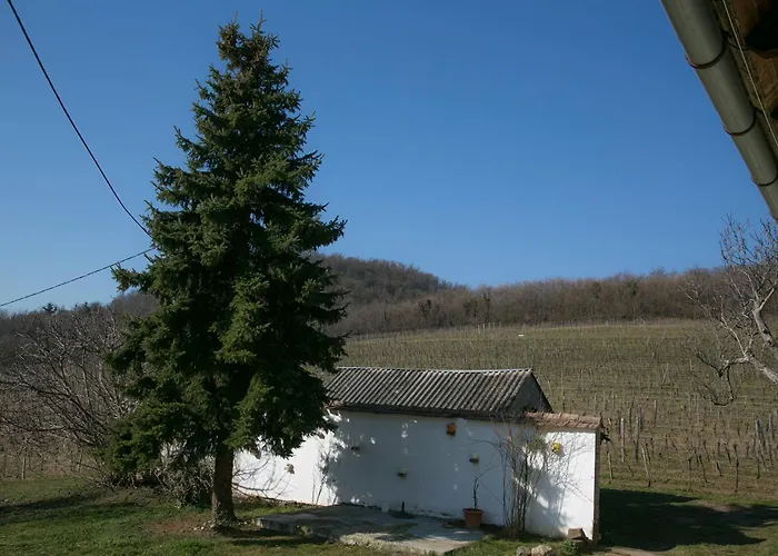 بيت ضيافة Guens Vendeghaz 3*