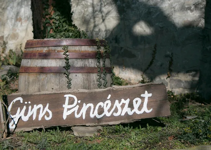 Guens Vendeghaz زيغليجيت